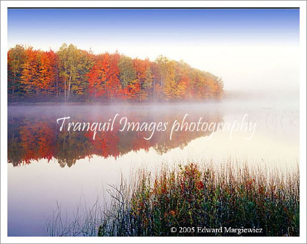 450248---Thorton Lake early morning mist.  View 2 - Copy